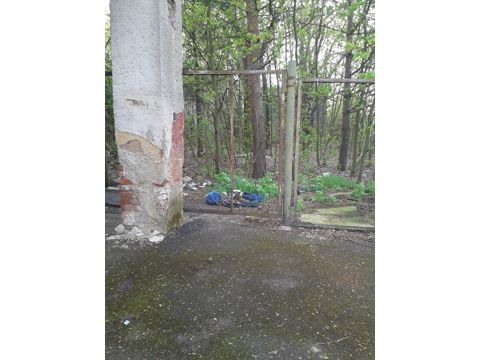Foto 243